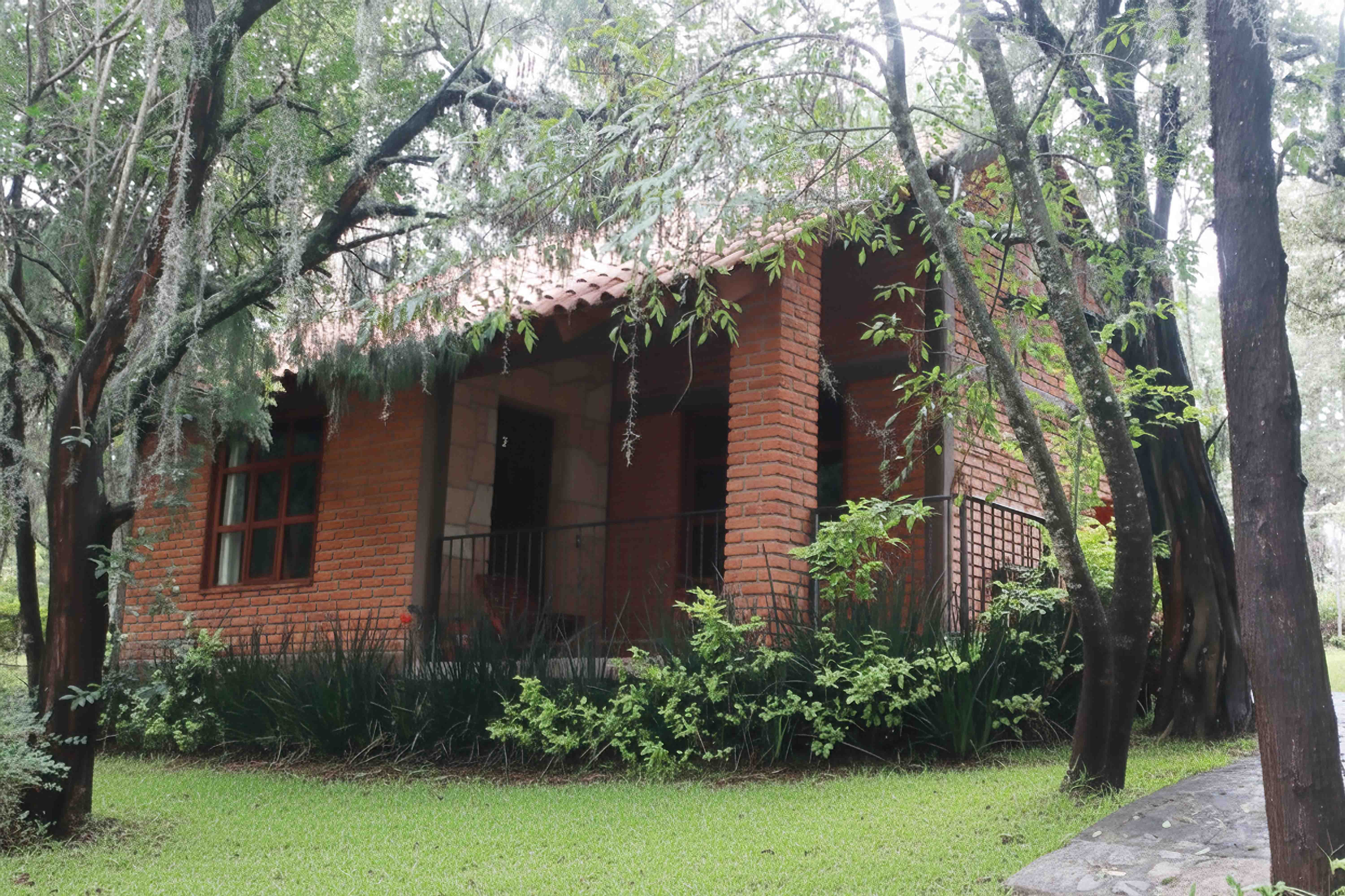 Cabañas Bosque Las Truchas
